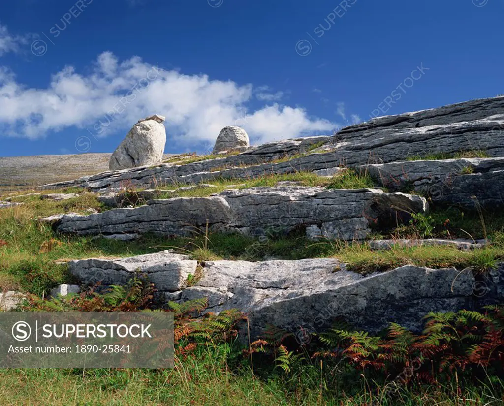 Rock formations of The Burren, County Clare, Munster, Republic of Ireland, Europe