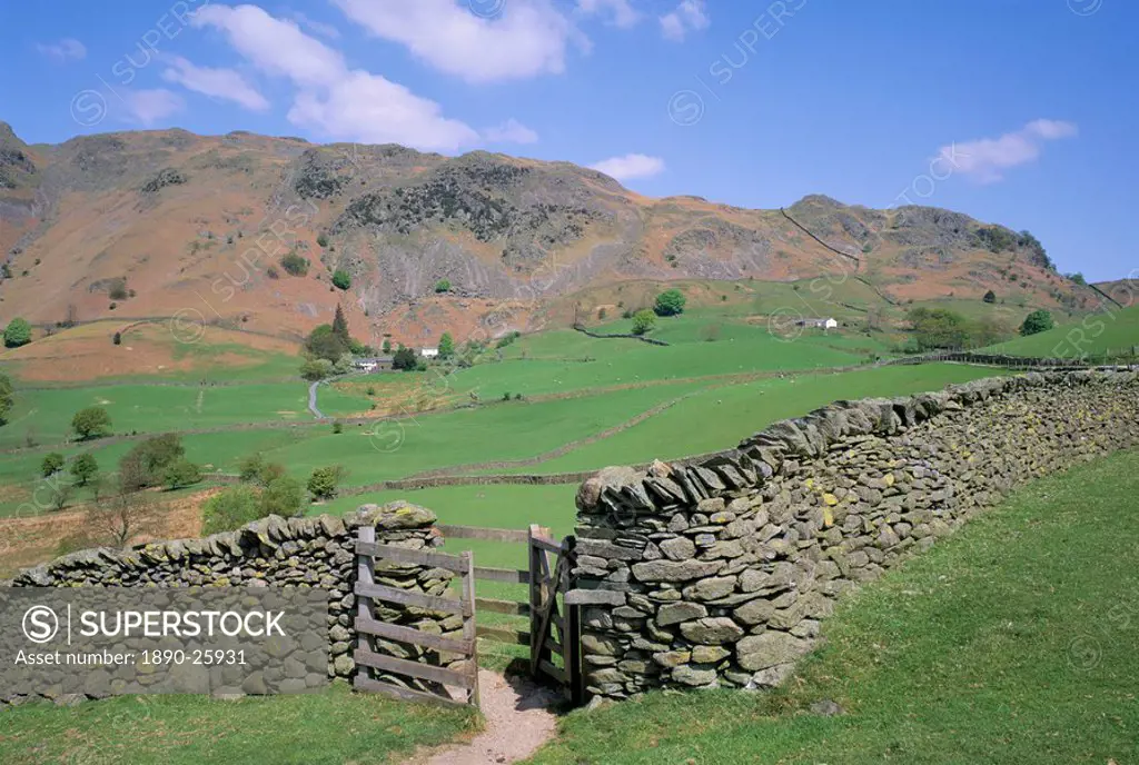 Stone wall, fields and Lingmoor Fell, Little Langdale, Lake District, Cumbria, England, United Kingdom, Europe