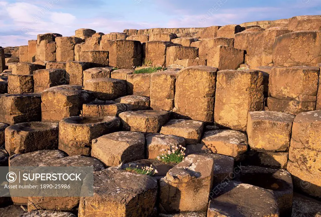 The Giants Causeway, UNESCO World Heritage Site, Co. Antrim, Ulster, Northern Ireland, United Kingdom, Europe