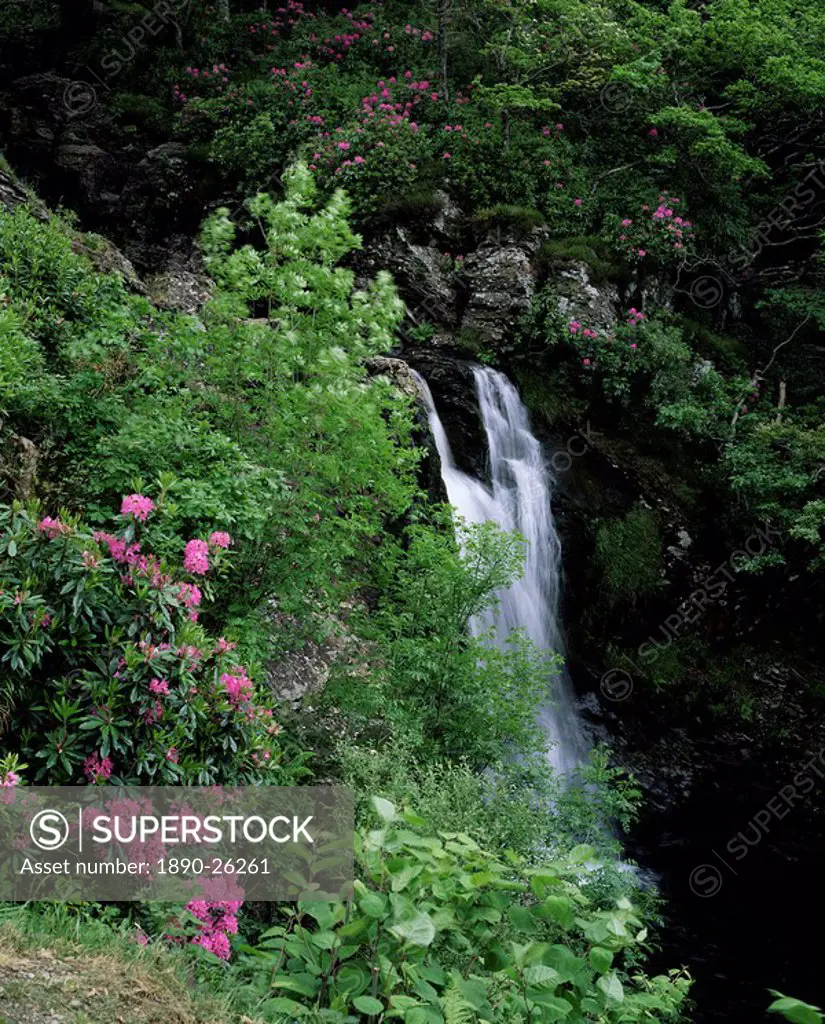 Inversnaid Waterfall, Loch Lomond, Stirling, Central Region, Scotland, United Kingdom, Europe