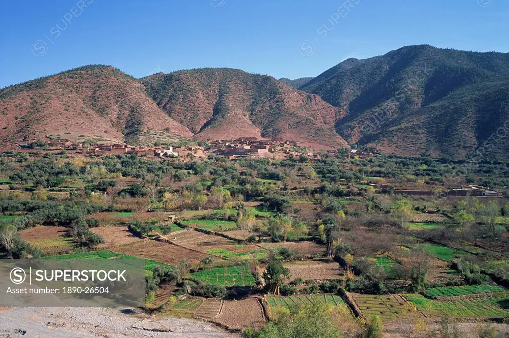 Ourika Valley, Morocco, North Africa, Africa
