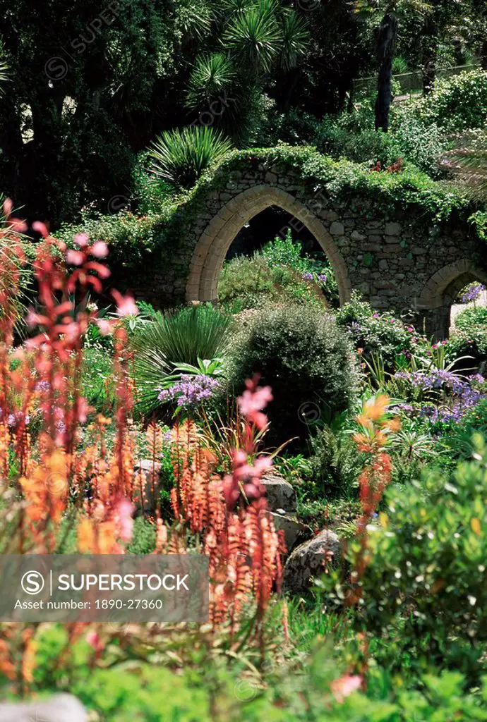 Abbey Gardens, Tresco, Isles of Scilly, United Kingdom, Europe