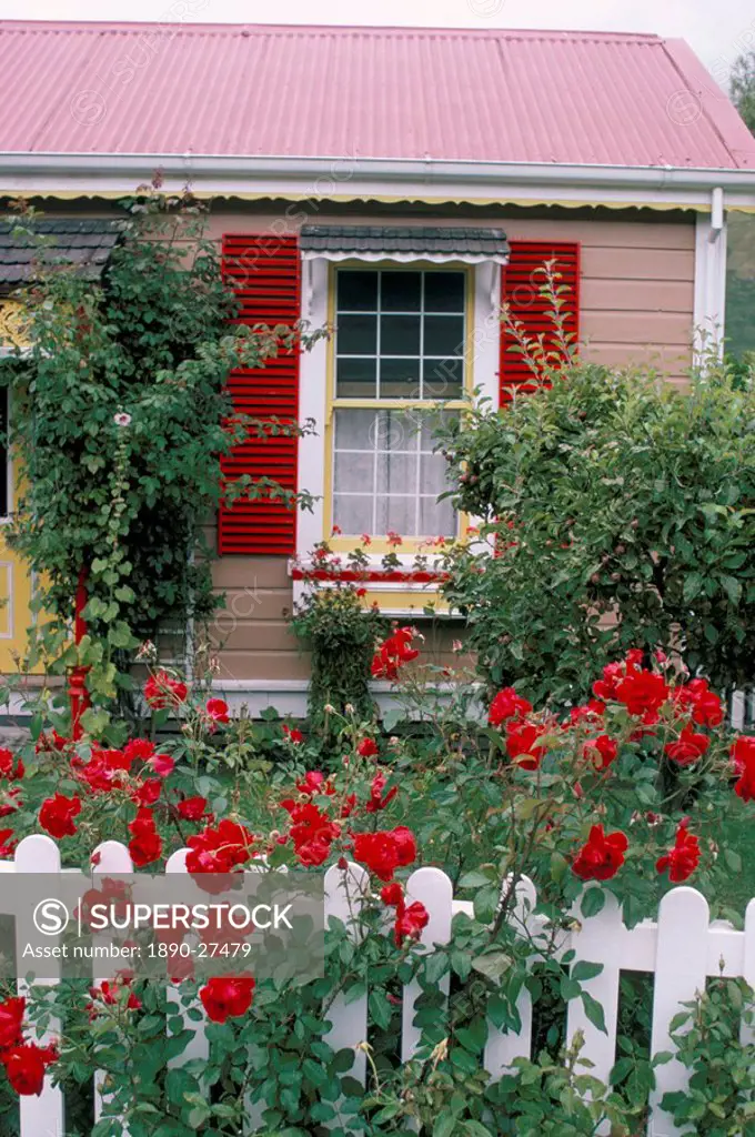 Single storey house and rose covered fence, New Zealand, Pacific