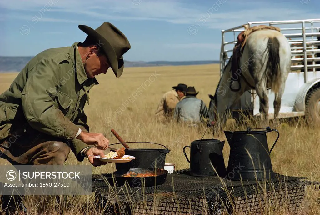 Cowboys eating breakfast in a field, New Mexico, United States of America, North America
