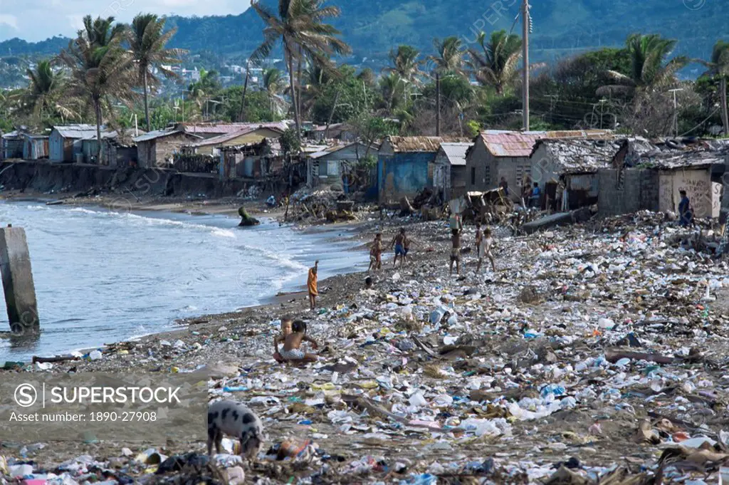 Children and pigs foraging on a rubbish strewn beach, Dominican Republic, West Indies, Caribbean, Central America