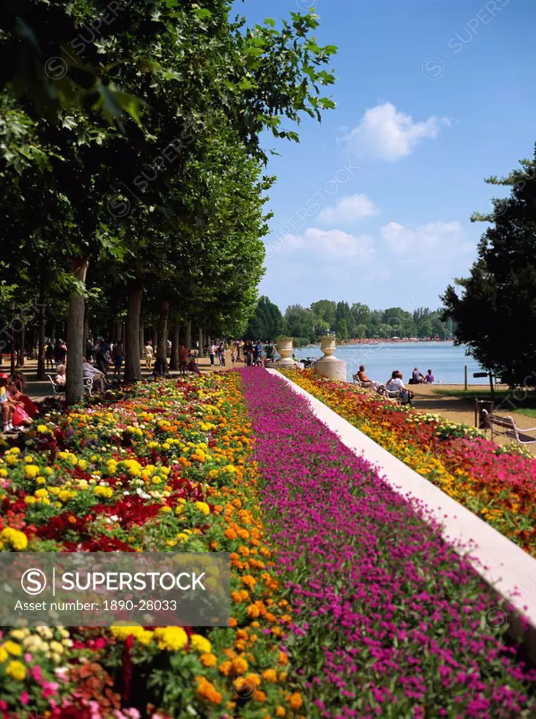 Summer flowers at Balatonfured on Lake Balaton, Hungary, Europe