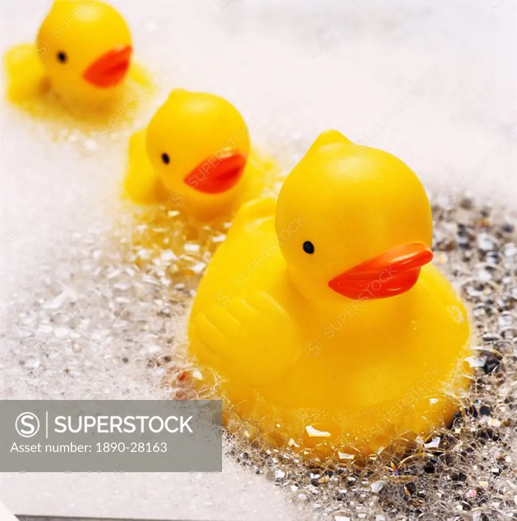 Rubber ducks in bath