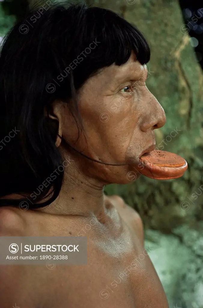 Suya with lip plate, Xingu, Brazil, South America