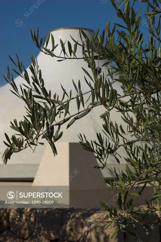 Close up of the Shrine of the Book, with olive tree branches, Israel Museum, Jerusalem, Israel, Middle East