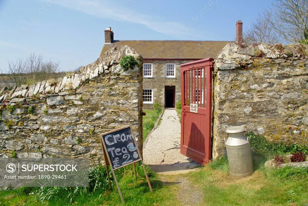 Cream teas sign outside Cornish farmhouse, near Fowey, Cornwall, England, UK, Europe