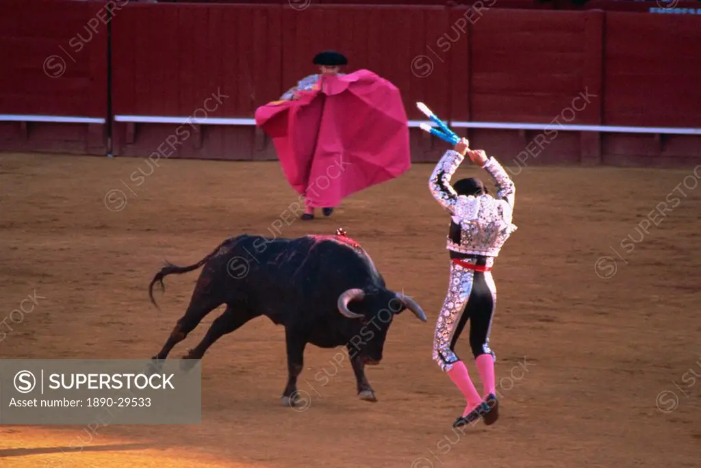 The banderillas sticks are placed in the bull´s neck, bullfighting, Spain, Europe