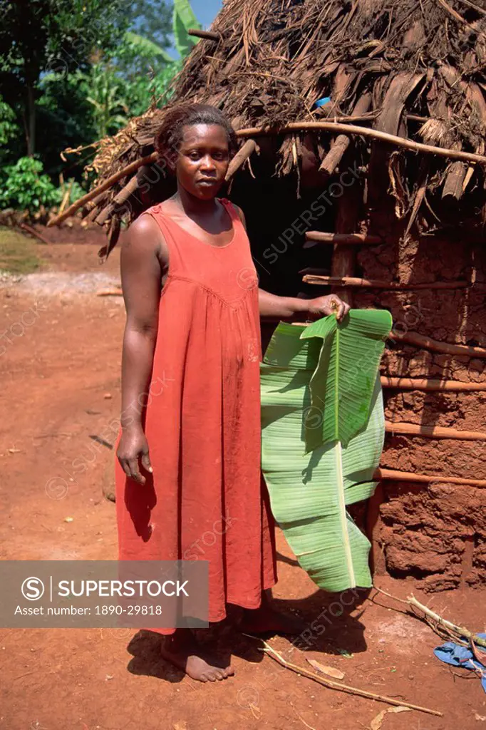 Woman with banana leaf to use as plate or work surface, Uganda, East Africa, Africa