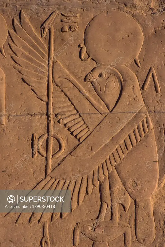 Detail of relief carving of the falcon hawk god, Kom Ombo, Egypt, North Africa, Africa