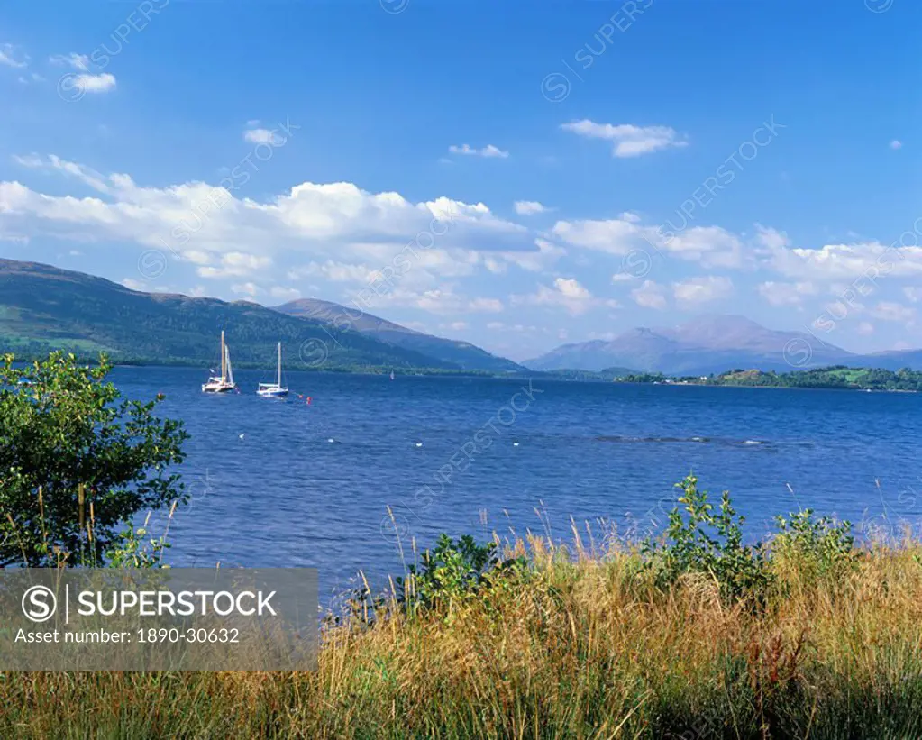 Loch Lomond, Strathclyde, Scotland, United Kingdom, Europe