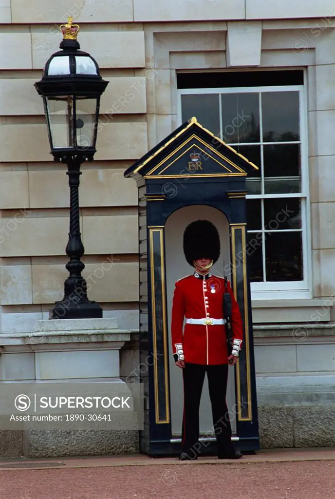 Portrait of a guard in a bearskin busby standing in front of a sentry box outside Buckingham Palace, London, England, United Kingdom, Europe