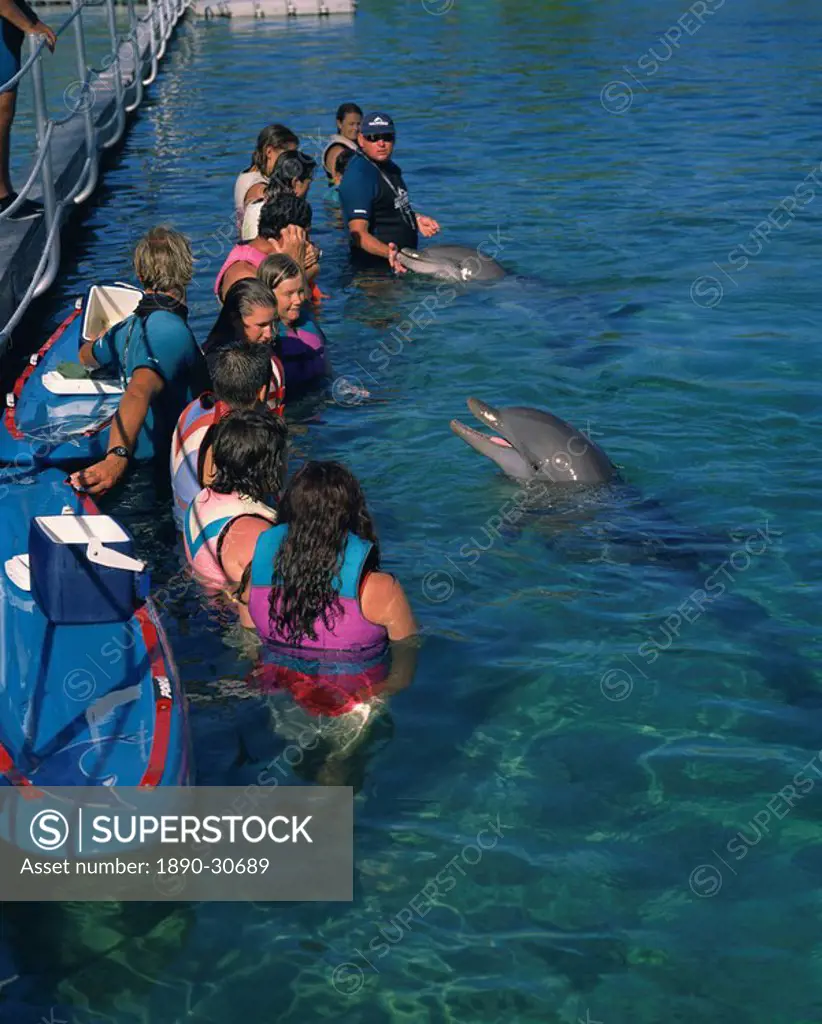 Small group of people standing in water, swimming with dolphins, Sea World, Surfers Paradise, Queensland, Australia, Pacific