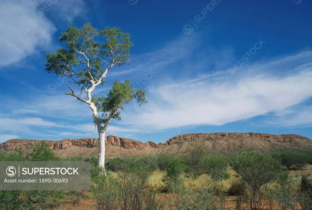 Landscape in the West MacDonnell Ranges near Alice Springs in the Northern Territory, Australia, Pacific
