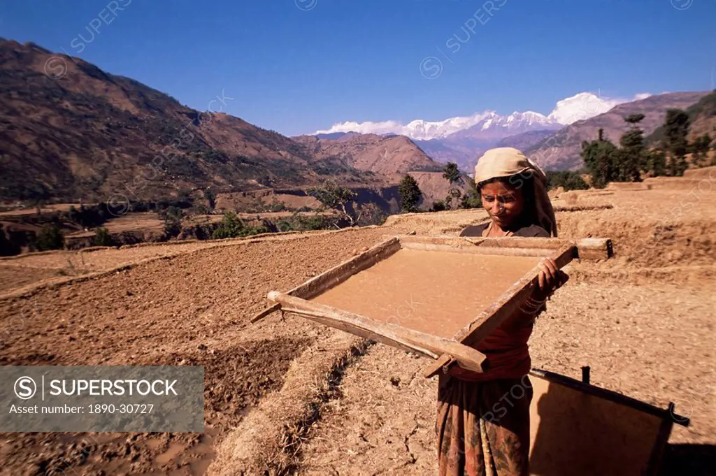 Lhokta paper being soaked and dried in sun in wooden frame on a U.N. funded project, Bhaktapur Bhadgaun, Nepal, Asia
