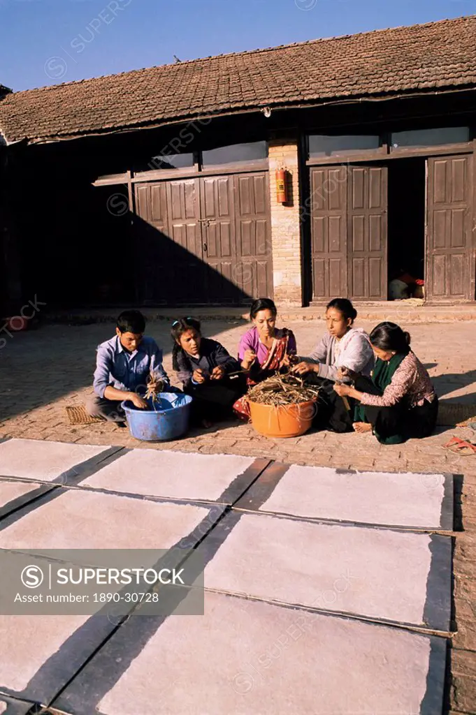 Lhokta paper drying in sun as workers clean more daphne plants to be made into paper on a U.N. funded project, Bhaktapur Bhadgaun, Nepal, Asia