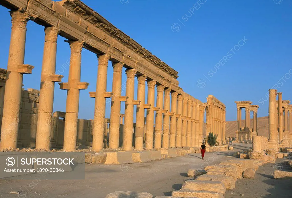 Ruins of the colonnade, Palmyra, UNESCO World Heritage Site, Syria, Middle East