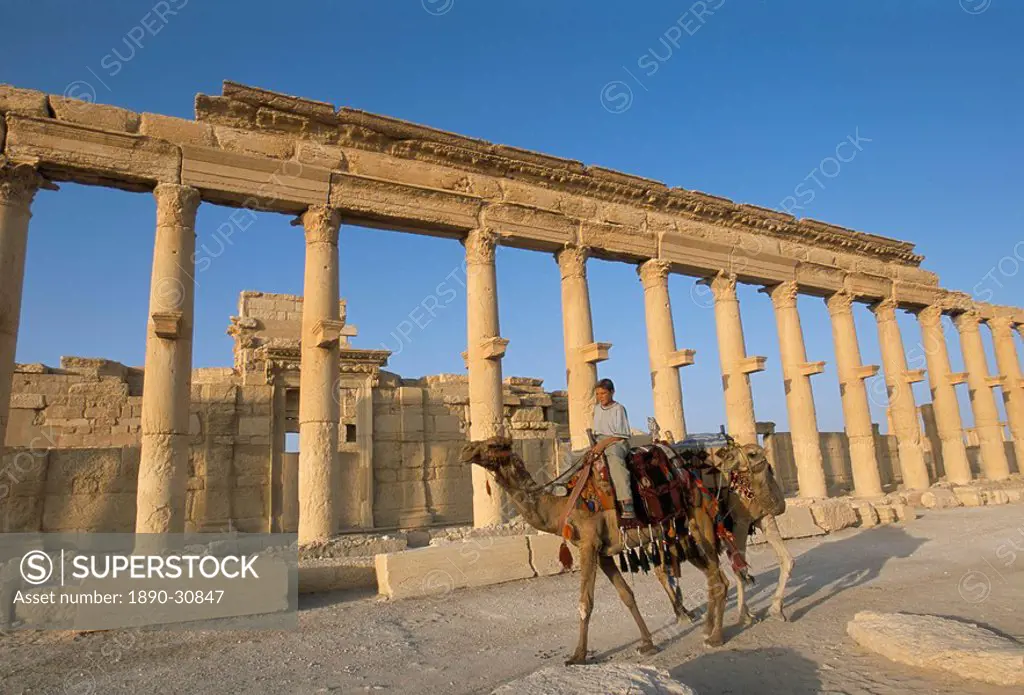 Boy on camel in front of the great colonnade, Palmyra, UNESCO World Heritage Site, Syria, Middle East