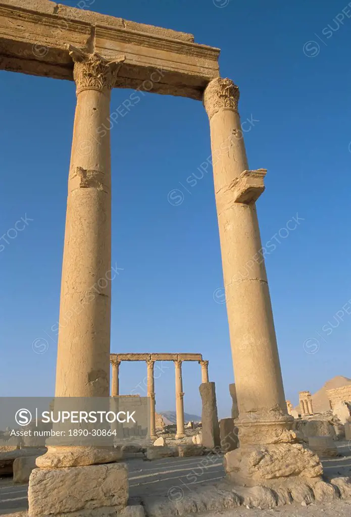 Ruins of the colonnade, Palmyra, UNESCO World Heritage Site, Syria, Middle East