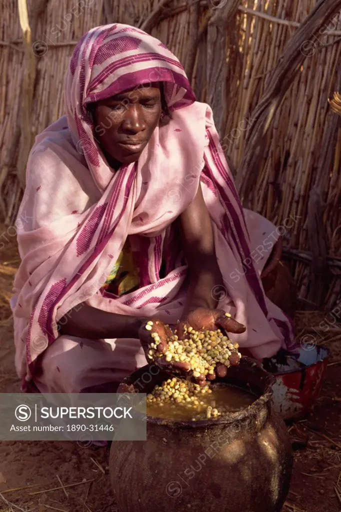 Wild berries eaten during famine in 1997, Darfur, Africa