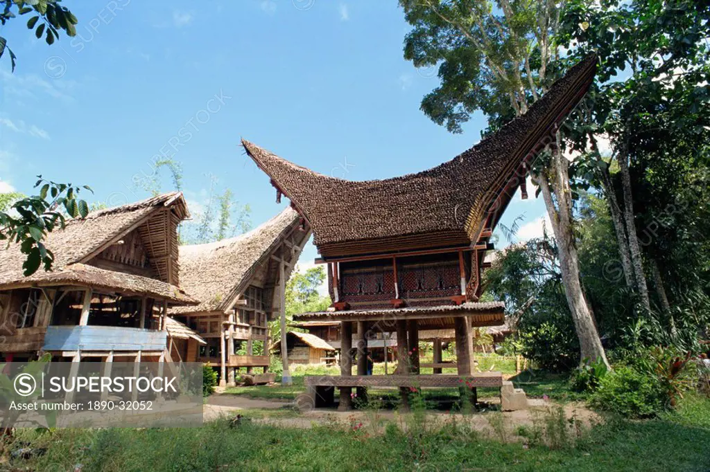 Toraja houses and granaries, Toraja area, Sulawesi, Indonesia, Southeast Asia, Asia