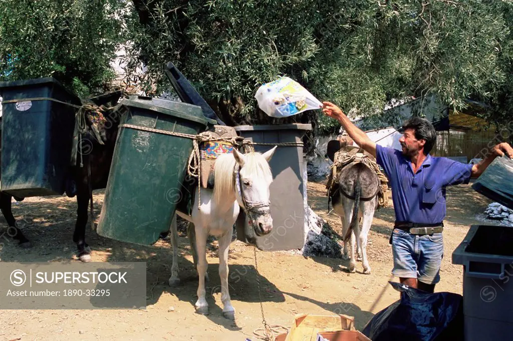 Mule used for collecting rubbish, island of Trikeri, Pelion, Greece, Europe