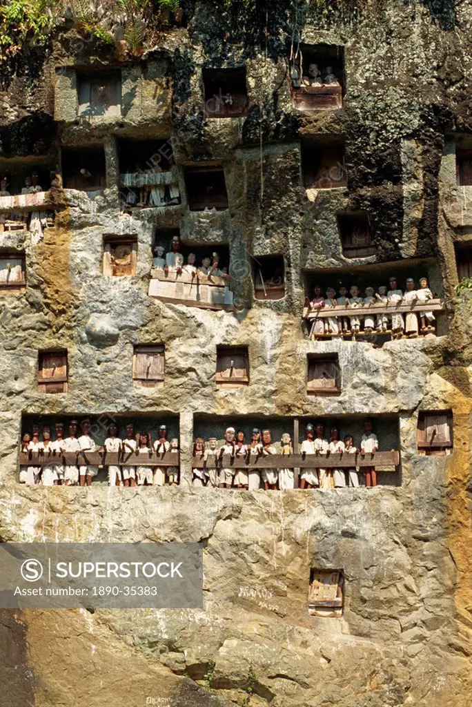Lemo cliff tombs, Toraja area, Sulawesi, Indonesia, Southeast Asia, Asia