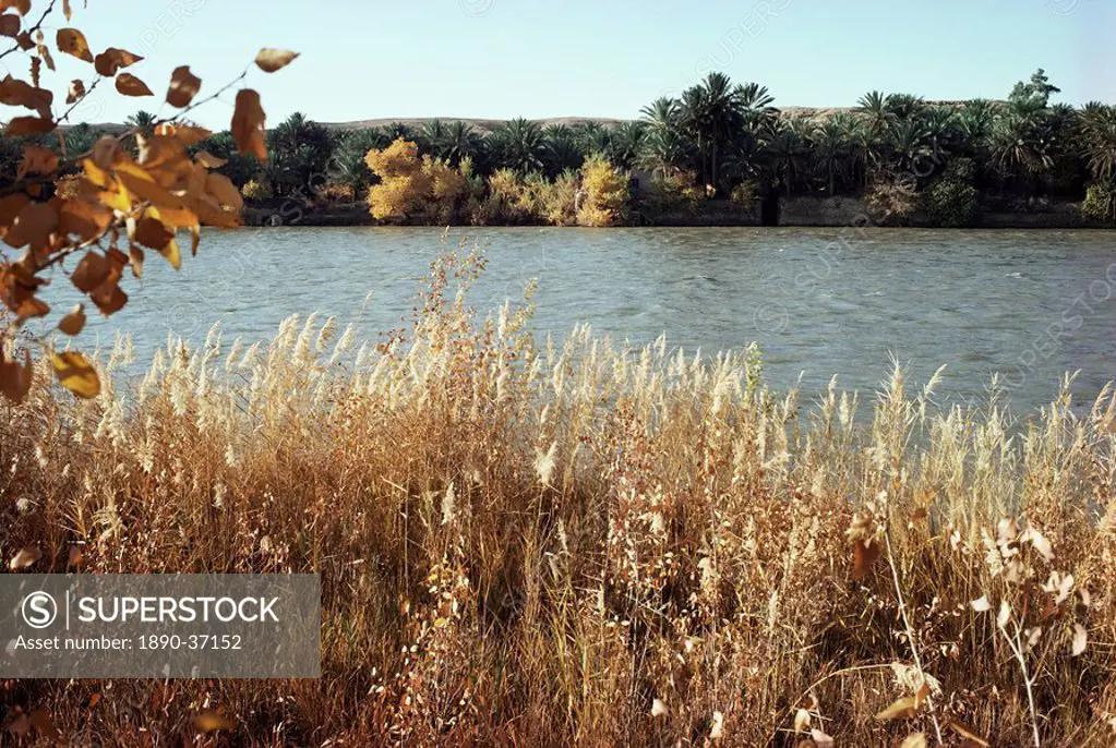 Autumn, Ana, on the River Euphrates, Iraq, Middle East