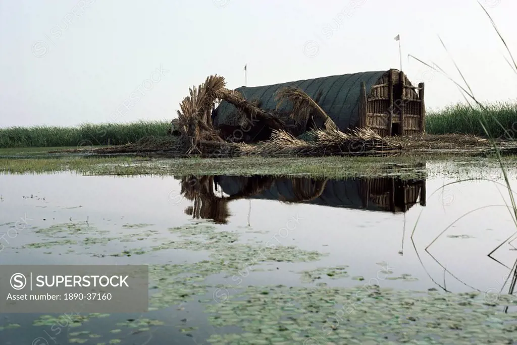 Mudhif guest house, Marshes, Iraq, Middle East