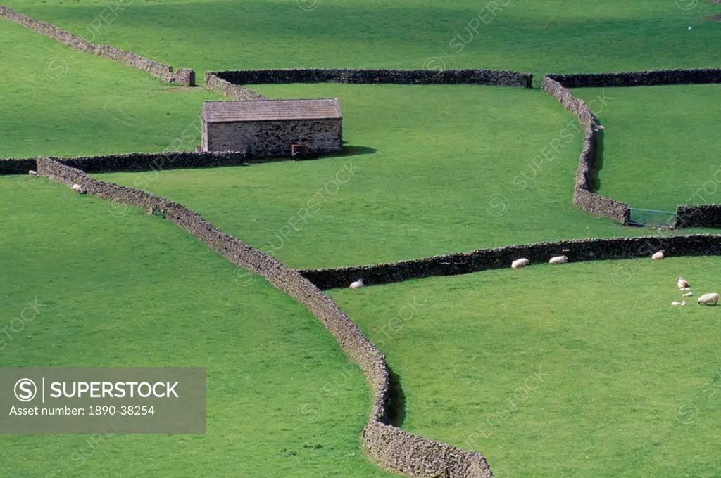 Stone barn and dry stone walls, Gunnerside, Swaledale, Yorkshire, England, United Kingdom, Europe