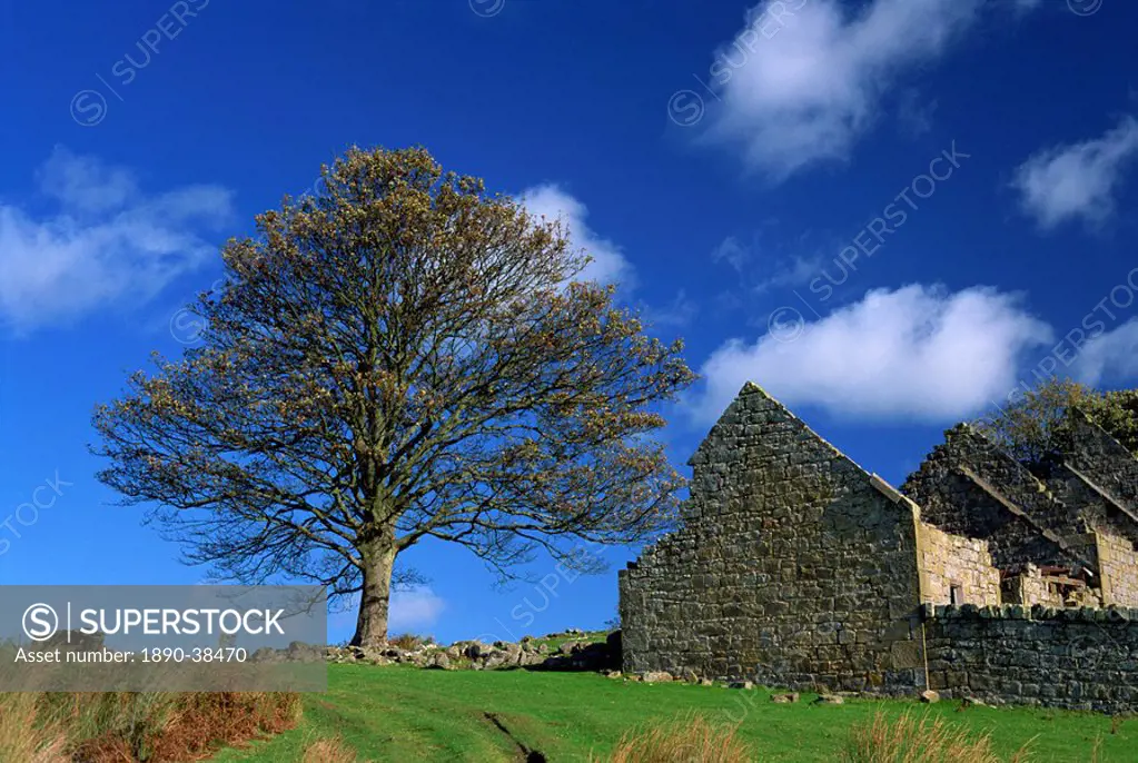 Countryside near Old Bewick, Northumbria, England, United Kingdom, Europe