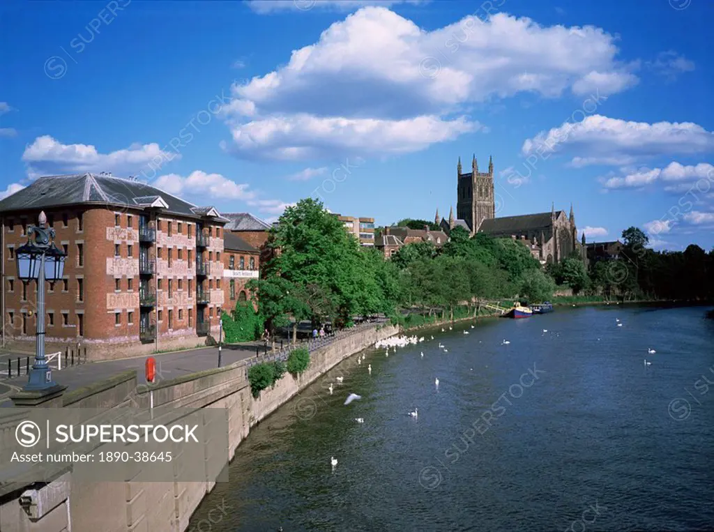 South Quay, cathedral and River Severn, Worcester, Hereford and Worcester, England, United Kingdom, Europe