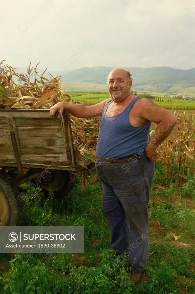 Portrait of a French farmer in a blue vest, smiling and looking at the camera, with a cart of maize near Colmar, Haut_Rhin, France, Europe