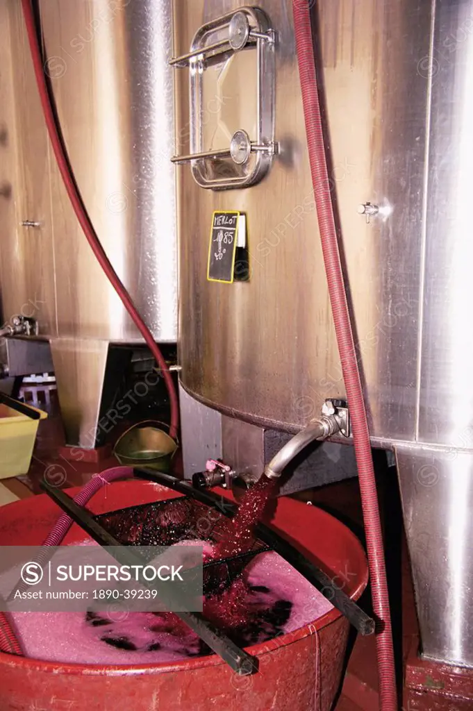 Racking grape juice into fermentation tanks, Chateau Crozet Bages, Pauillac, Gironde, France, Europe