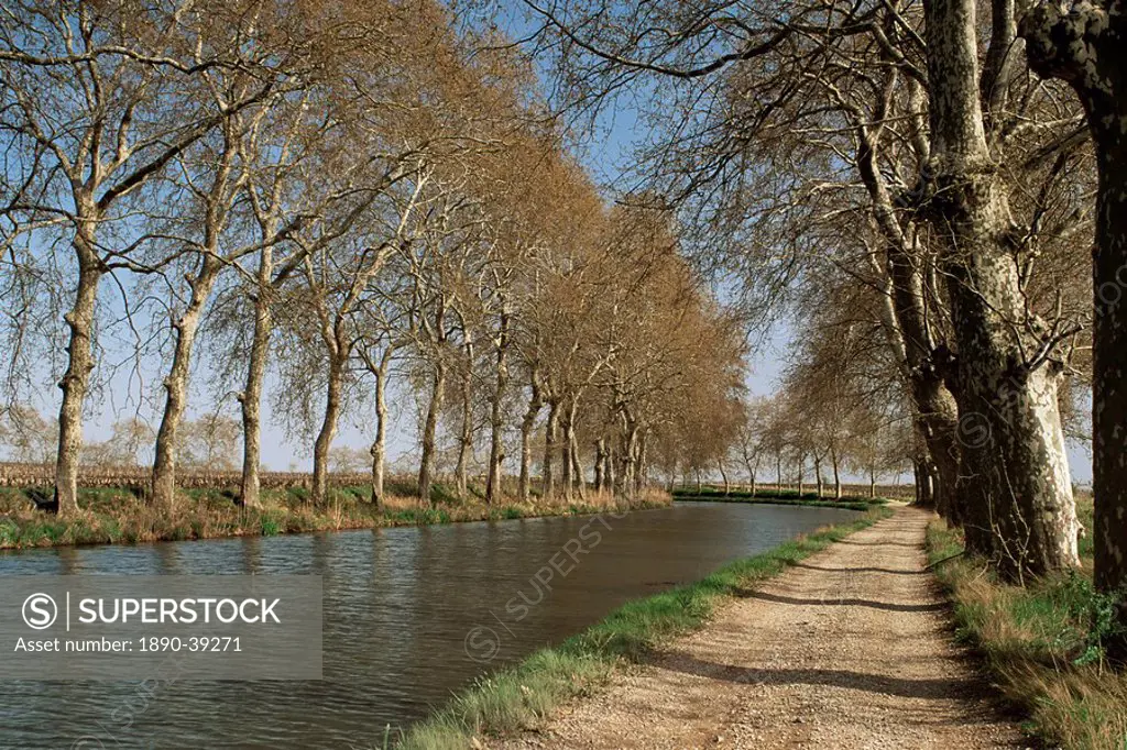 Canal du Midi, near Capestang, Languedoc_Roussillon, France, Europe