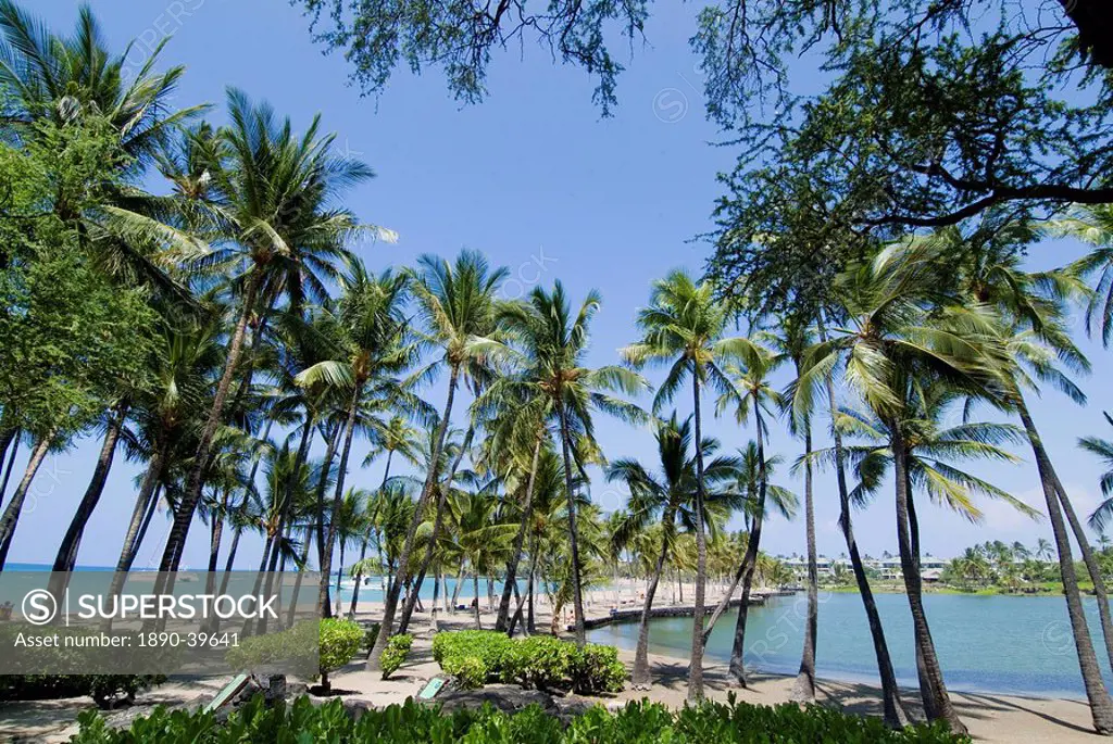 Waikaloa Beach, Island of Hawaii Big Island, Hawaii, United States of America, Pacific, North America