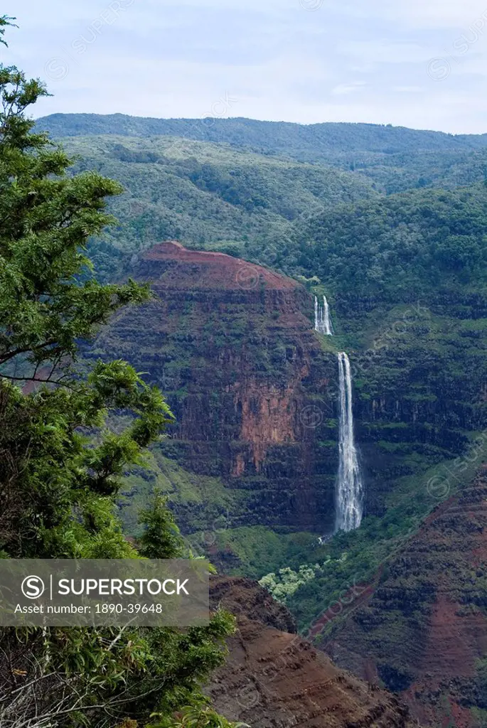 Waimea Canyon, Kauai, Hawaii, United States of America, North America