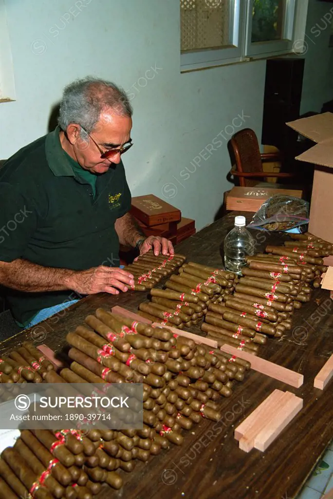 Rolling cigars, Nassau, Bahamas, West Indies, Central America