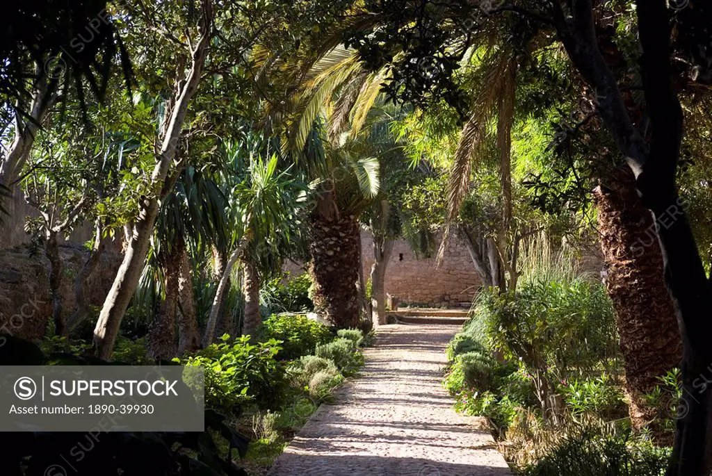 Gardens in the fortress of Chellah, near the Roman site of Sala Colonia, Rabat, Morocco, North Africa, Africa