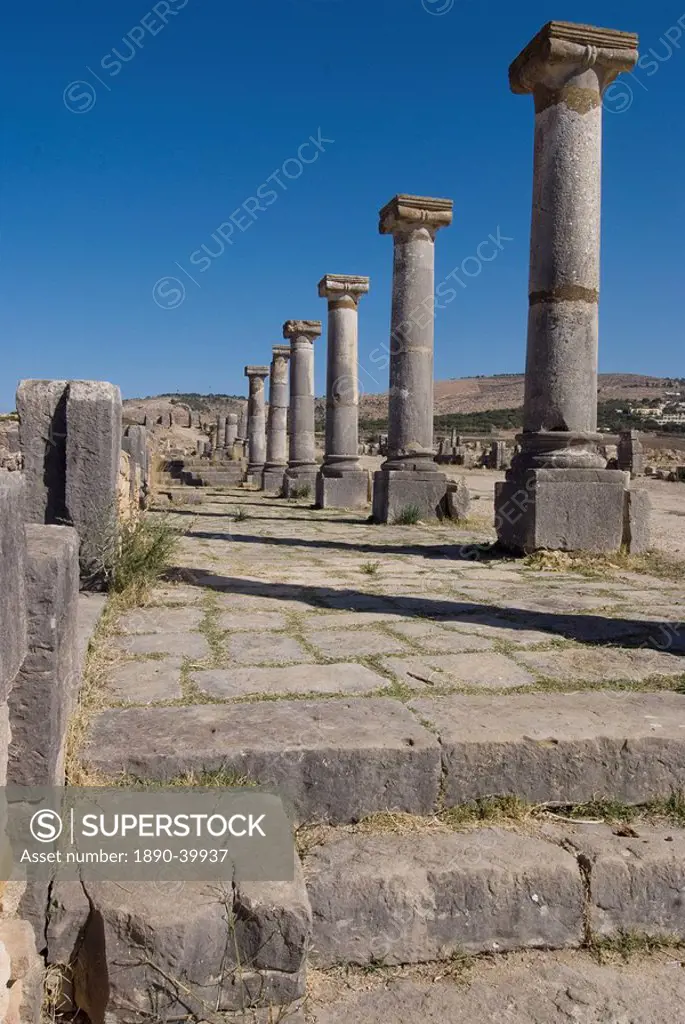 Decumanus Maximus main east west road, Roman site of Volubilis, UNESCO World Heritage Site, Morocco, North Africa, Africa