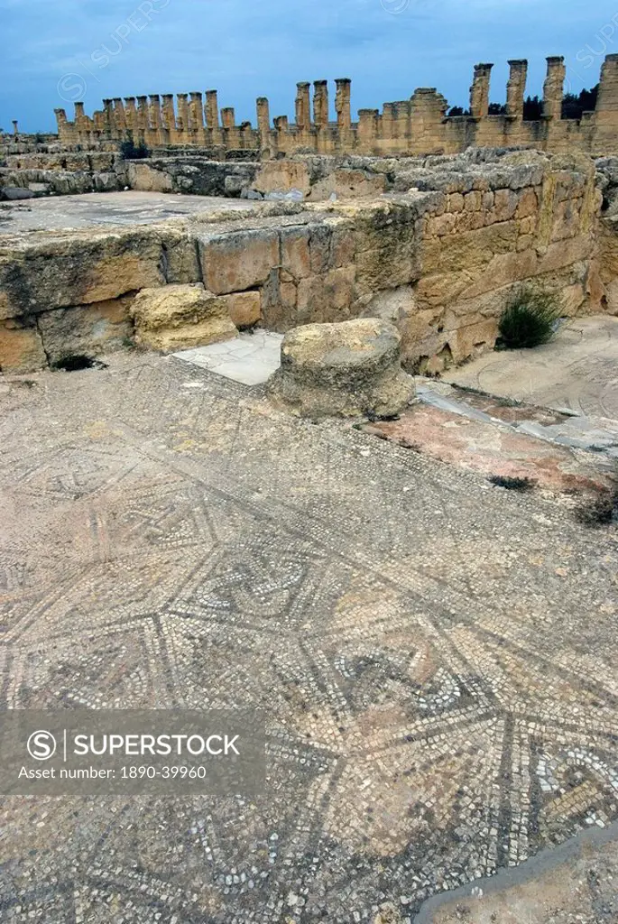 House of Jason Magnus, Greek and Roman site of Cyrene, UNESCO World Heritage Site, Libya, North Africa, Africa