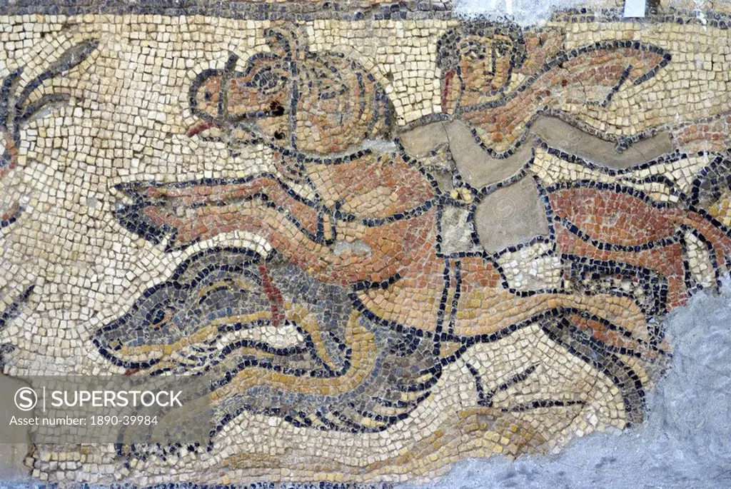 Mosaic, currently in the museum, taken from the Greek and Roman site of Cyrene, Libya, North Africa, Africa