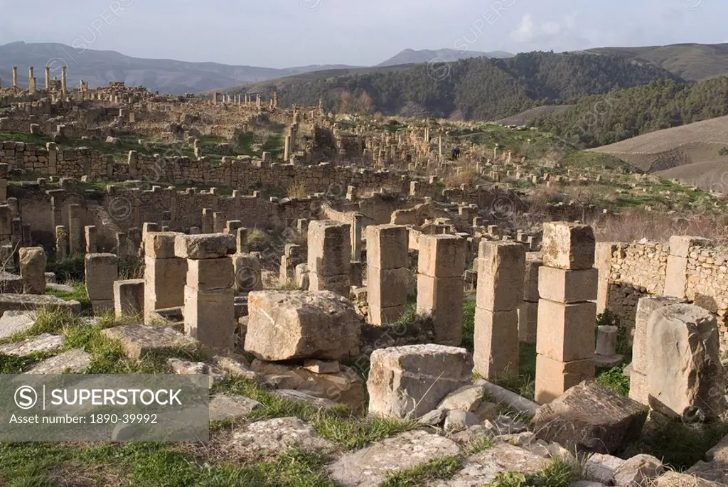 Overlooking the Roman site of Djemila, UNESCO World Heritage Site, Algeria, North Africa, Africa