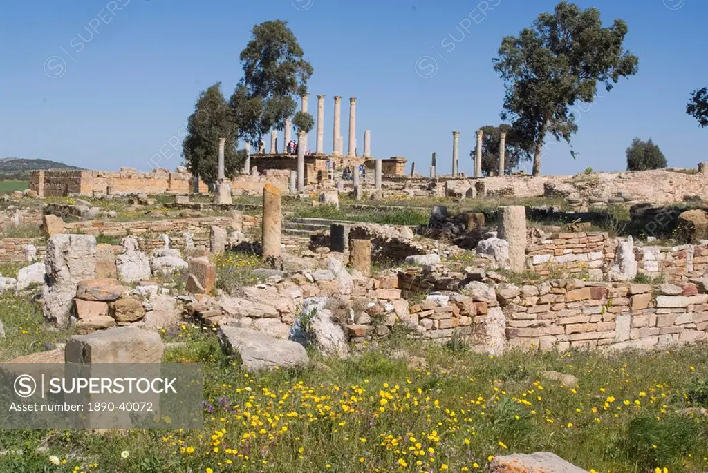 Capitolium Temple to the three main gods, Roman ruin of Thuburbo Majus, Tunisia, North Africa, Africa