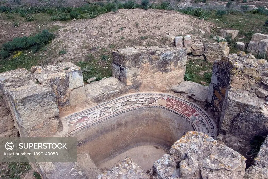 Bath for pleasure, House of Amphitrite, Roman ruins of Bulla Regia, Tunisia, North Africa, Africa