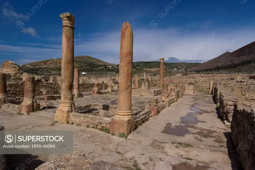House of the Hunt, Roman ruins of Bulla Regia, Tunisia, North Africa, Africa