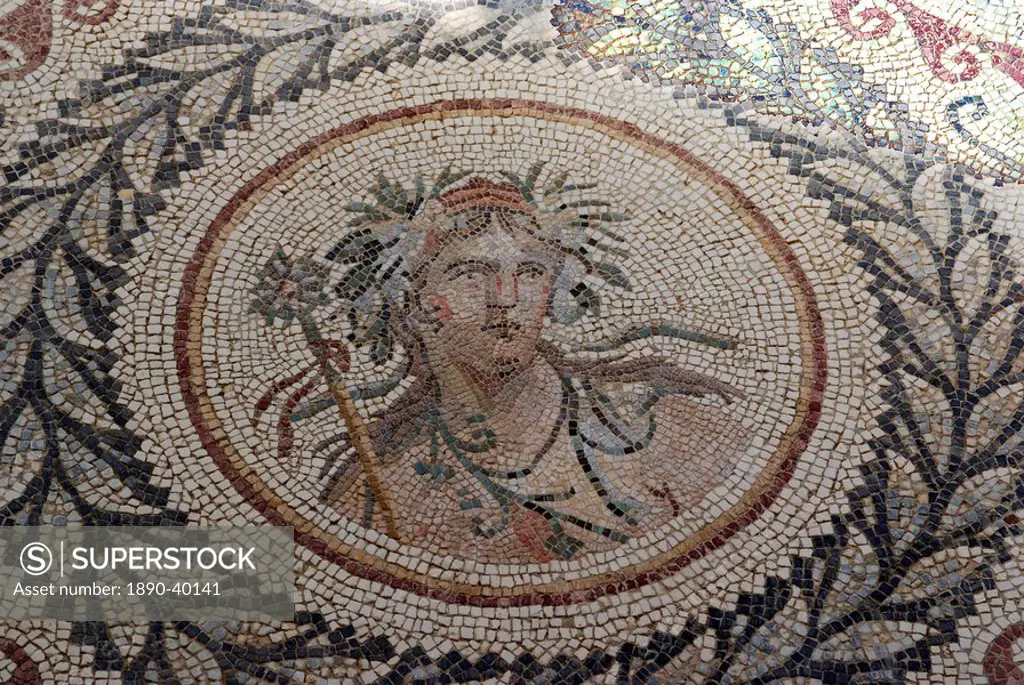 Mosaic, at the Museum of Chemtou, Tunisia, North Africa, Africa